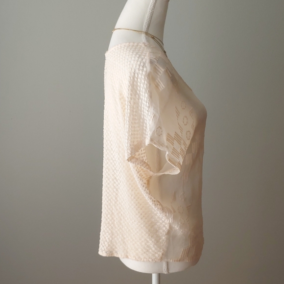 Embroidered Pure Silk Sheer Top - Picture 4 of 11